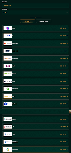 Payment Methods at Online Casinos in Saudi Arabia