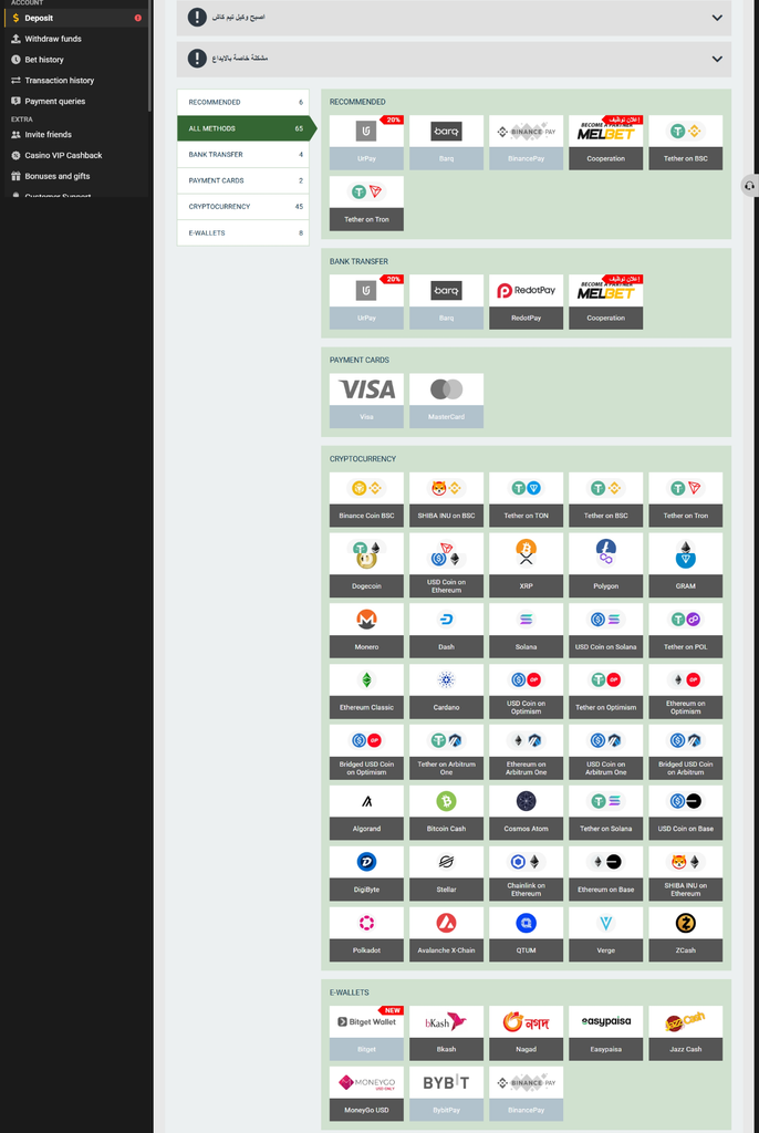 MelBet Casino All Payment Methods—cryptocurrencies, e-wallets, cards, and bank transfers.